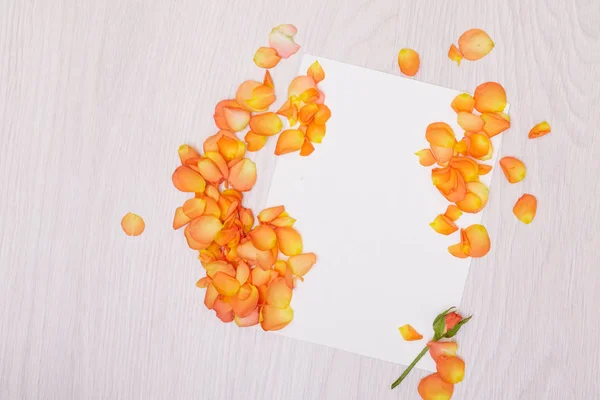 Una maqueta creativa con una tarjeta y una rosa de orang. Hoja vacía de pape — Foto de Stock