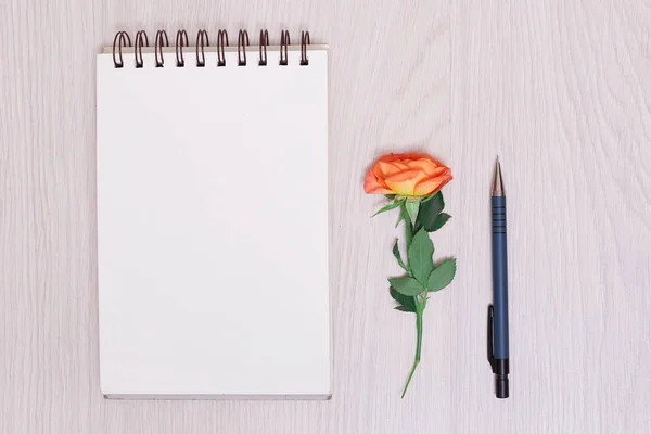 Cuaderno Papel Pluma Flores Secas Púrpura Sobre Fondo Blanco Libreta — Foto de Stock