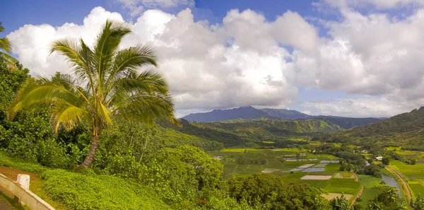 Reserva Natural Hanalei Kauai Hawai — Foto de Stock