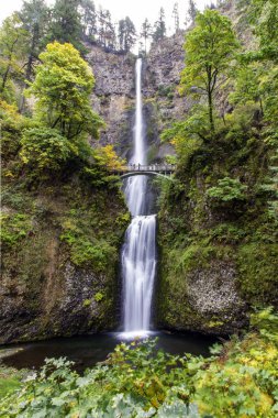columbia river gorge Multnomah falls