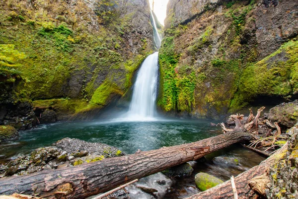 Wahclella Falls Desfiladero Del Río Columbia — Foto de Stock