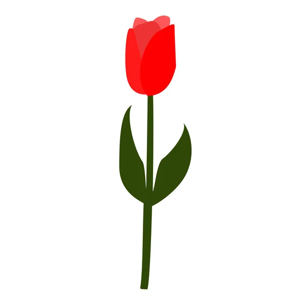 Tulip blomman för semester och andra. — Stock vektor