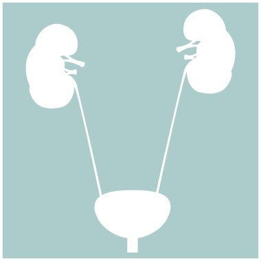 Mesane ve böbrek beyaz renk simgesi .