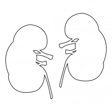 Böbrek siyah renk simgesi .