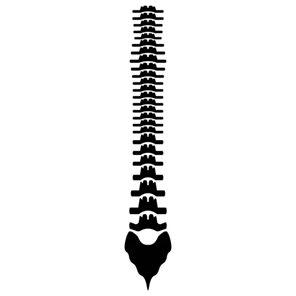 Mänskliga ryggraden ikonen svart färg . — Stock vektor