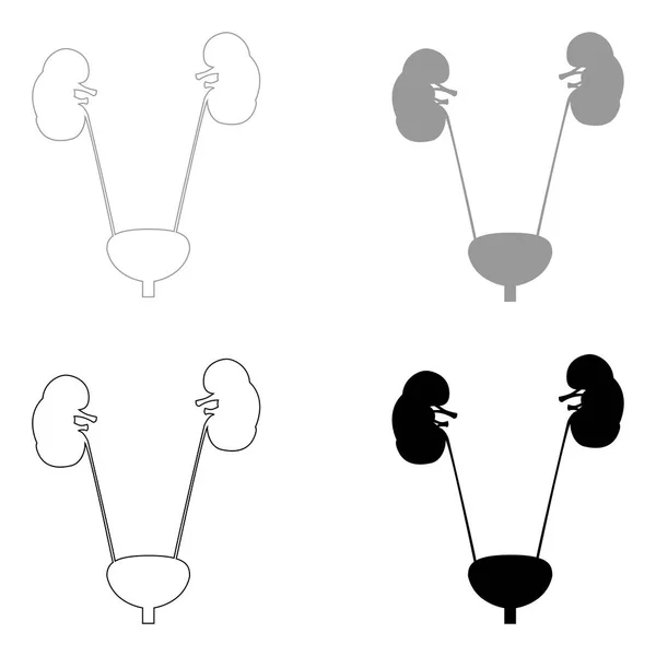 Blase und Niere das schwarz-graue Farbset-Symbol . — Stockvektor