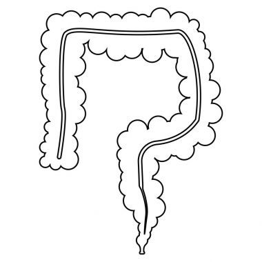 Bağırsak siyah renk simgesi .