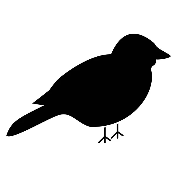 Vogel das schwarze Farbsymbol . — Stockvektor