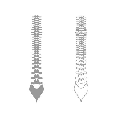 İnsan omurga gri Icon set .