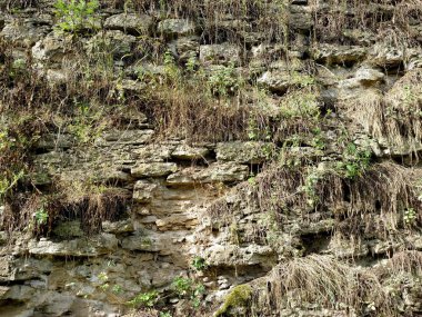 Çim Dubno şehir kalenin duvar. Bir yaz gününde. Arka planı için .