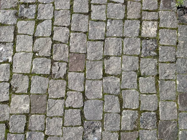 Dubno kasaba kayalık taş yoldan. Taş kare formunun. Yaz günü .