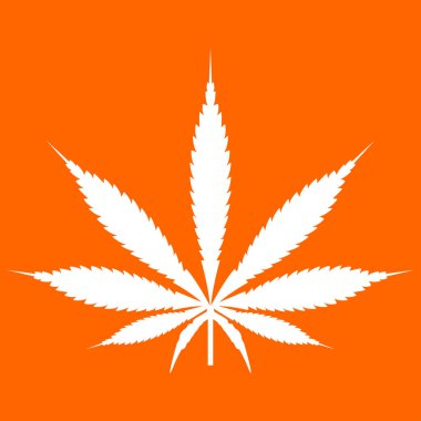 Esrar (marihuana) yaprak beyaz renk simgesi .