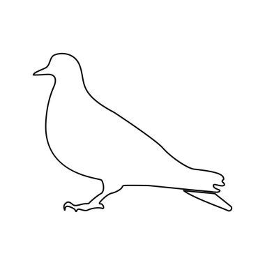 Güvercin siyah renk simgesi .