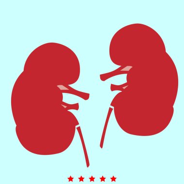 Renk simgesi olan böbrek .