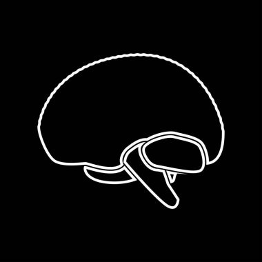 Beyin beyaz renk simgesi .