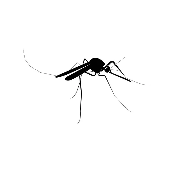 Mosquito barva černá ikona . — Stockový vektor