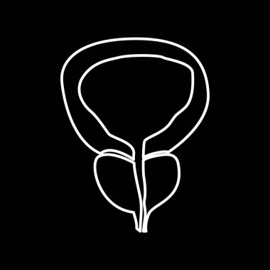 Prostat ve mesane simge yoktur .