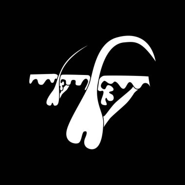 Cilt, makro saçlı simgesi olduğunu .