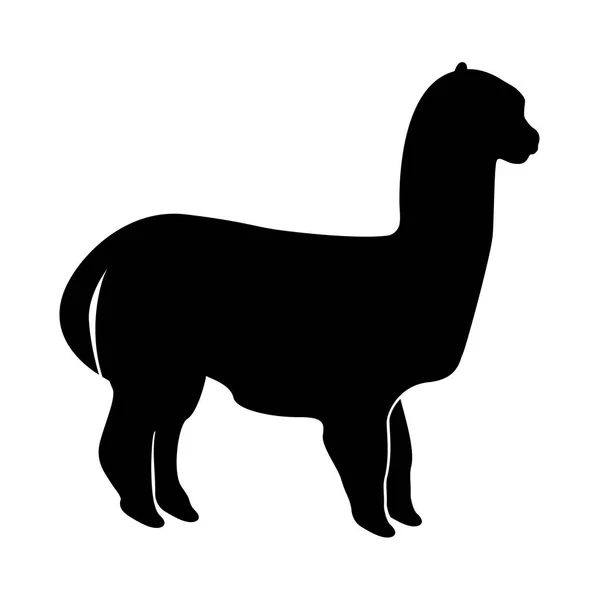 Alpaca es el icono negro  . — Vector de stock