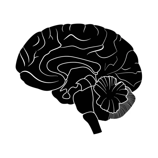 Gehirn ist schwarzes Symbol . — Stockvektor