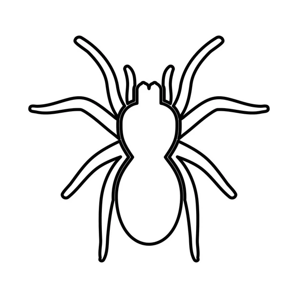 Spinnenkop of tarantula is het zwarte pictogram . — Stockvector