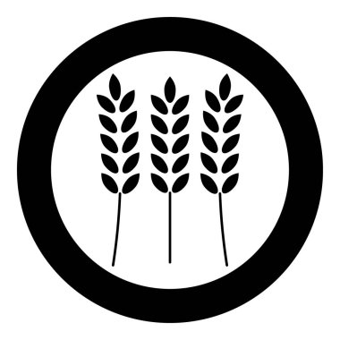 Buğday simge siyah renkli daire içinde