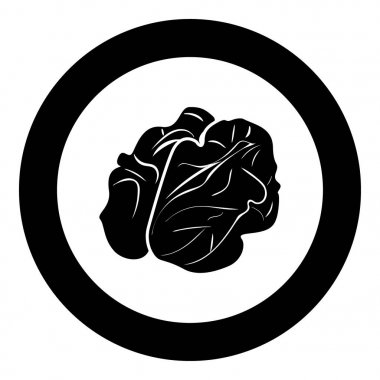 Ceviz simge siyah renkli daire içinde