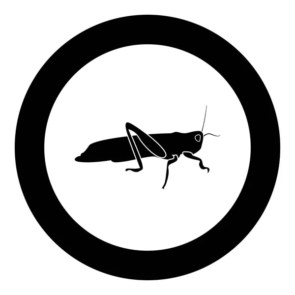 Icône Grasshoper couleur noire en cercle — Image vectorielle