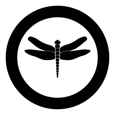 Yusufçuk siyah kutsal kişilerin resmi içinde daire vektör çizim