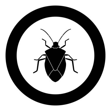 Böcek siyah simgesini daire