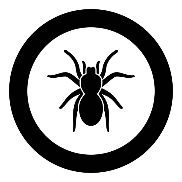 Spinnenkop of tarantula black pictogram in cirkel — Stockvector