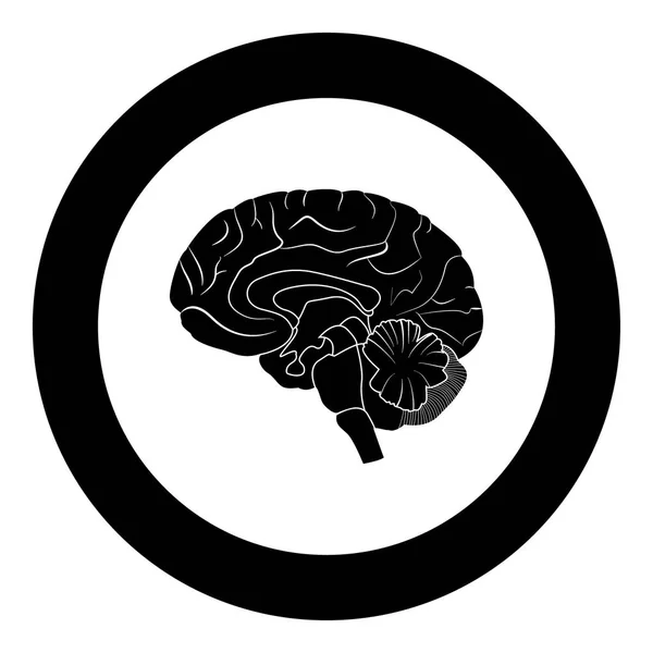 Gehirn schwarzes Symbol im Kreis — Stockvektor
