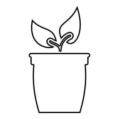 Saksı veya pot bitki simge siyah renkli düz stil basit görüntü illüstrasyon ile