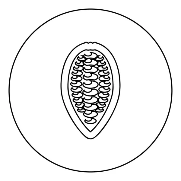 Какао Боб Бобы Какао Фрукты Шоколадные Семечки Иконка Круглого Контура — стоковый вектор