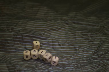 Beyaz martı sonbaharda göldeki parkta suyun üzerinde yüzer..