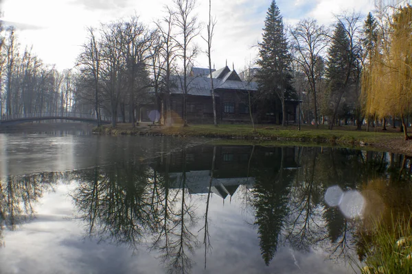 Witte Meeuw Drijft Het Najaar Het Water Het Park Aan — Stockfoto