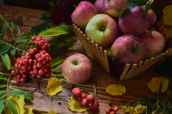 Almát Bogyókat Hegyi Kőris Galagonya Sárga Levelek Virágok Körül Vázában — Stock Fotó