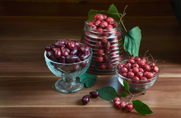 Autumn Still Life Wild Rose Rowan Dogwood — Stock Photo, Image