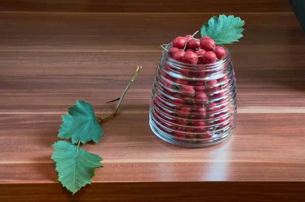 Autumn Still Life Wild Rose Rowan Dogwood — Stock Photo, Image