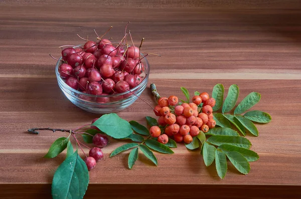 Herfst Stilleven Van Wilde Roos Rowan Kornoelje — Stockfoto