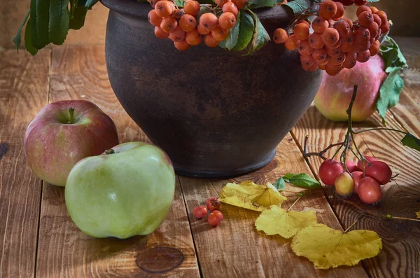 秋天寂静的生活与山灰 山楂和苹果的莓果 — 图库照片