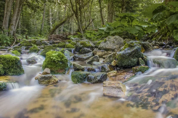 Río Salvaje en la Naturaleza Relajante Fondo de Agua — Foto de Stock