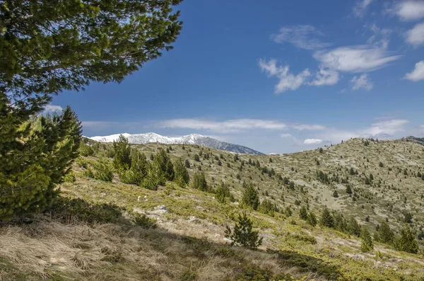 Neolica pico, Pelister, Bitola, Macedonia — Foto de Stock