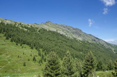 Makedonya - Napredok Milli Parkı