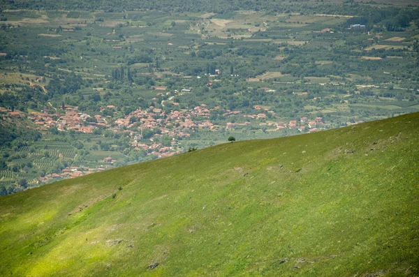 Árbol aislado - Parque Nacional Pelister, Macedonia — Foto de Stock