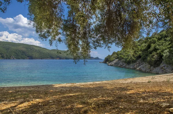 アギオス Giannakis ビーチ パルガ ギリシャのターコイズ ブルーの海とオリーブの木 — ストック写真