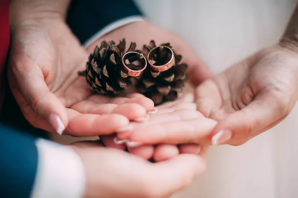 Anéis de casamento dourados jazem em um grande cone de pinho, que está nas mãos das pessoas — Fotografia de Stock