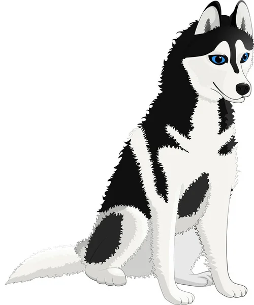 Chien Husky laine blanche noire bonne loyale — Image vectorielle
