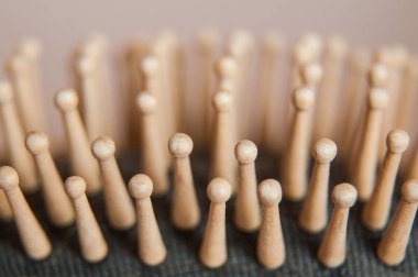 tarak - fırça portre