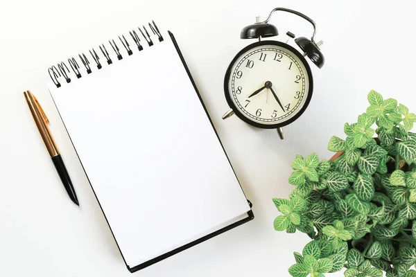 Not defteri. İş planlama, problem çözme. 